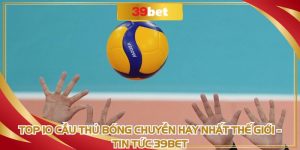 Top 10 Cầu Thủ Bóng Chuyền Hay Nhất Thế Giới Tin Tức 39BET