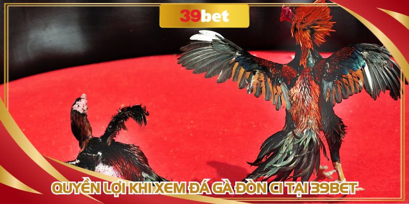 Trực tiếp đá gà đòn có nhiều ưu điểm